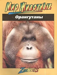 Орангутаны (мМЖ) Шоу