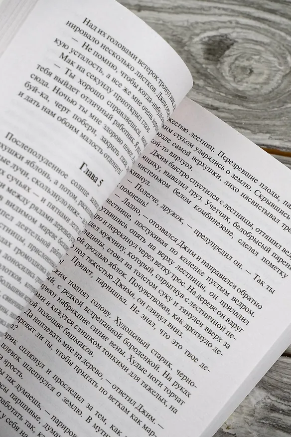 Книга В битве с исходом сомнительным (Джон Стейнбек) — 9