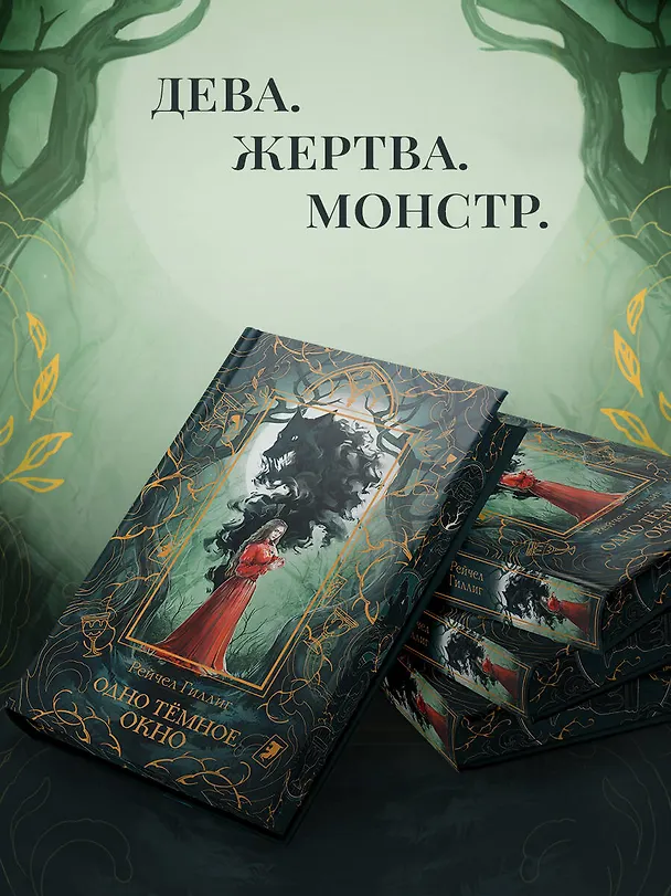 Книга Одно темное окно (Рейчел Гиллиг) — 6