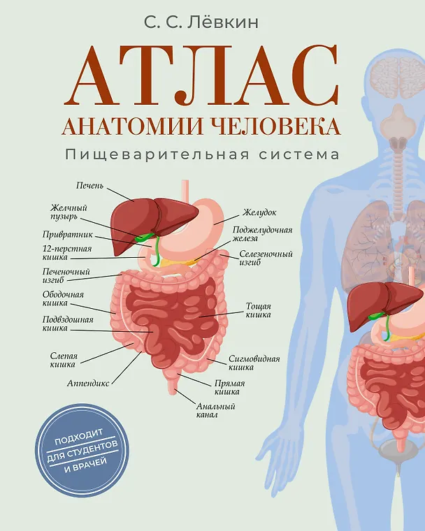 Книга Атлас анатомии человека. Пищеварительная система (Сергей Лёвкин) — 1