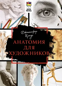 Анатомия для художников
