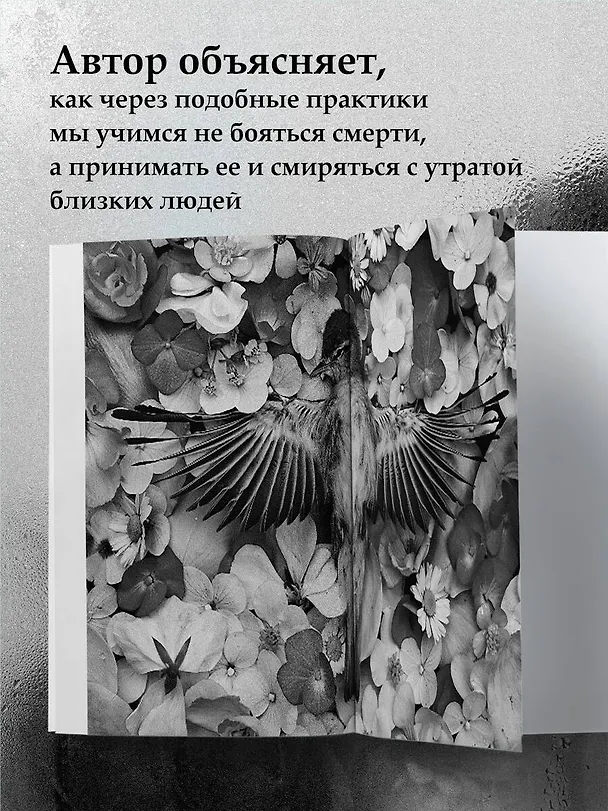 Книга О чем молчит фотография: как современные постмортемы помогают жить (Лиза Светлова) — 7