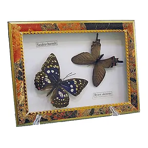 Панно Бабочки, 15х20см (101046) 2393949