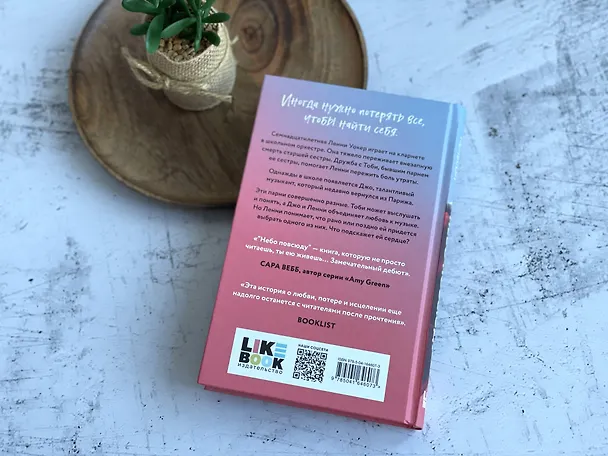 Книга Небо повсюду (Дженди Нельсон) — 9