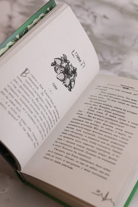 Книга Перечная мята (Оню Пэк) — 14