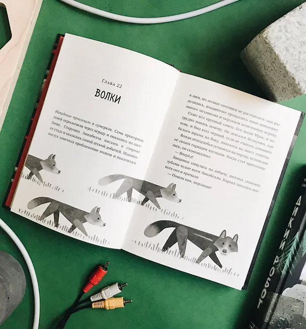 Книга Спасение дикого робота (Питер Браун) — 12