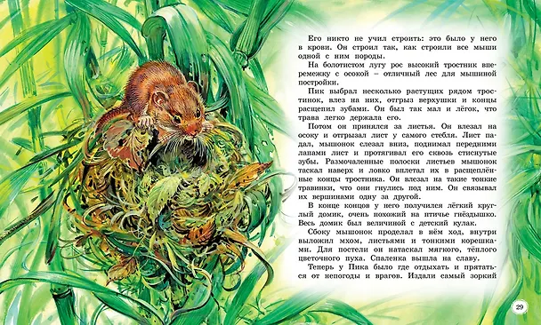 Книга Сказки и рассказы о животных (Виталий Бианки) — 12