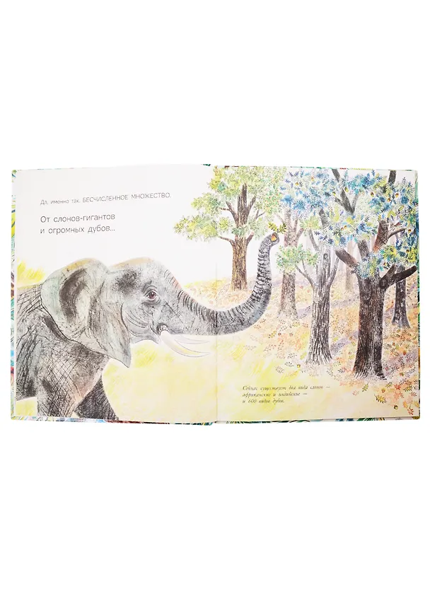 Книга Многообразие жизни на Земле (Никола Дэвис) — 5