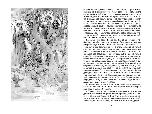 Книга Дон Кихот (Мигель де Сервантес Сааведра) — 14
