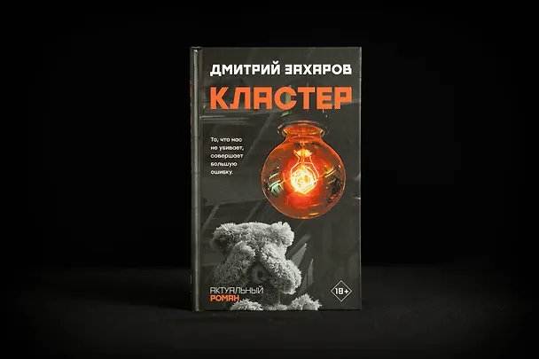 Книга Кластер (Дмитрий Захаров) — 5