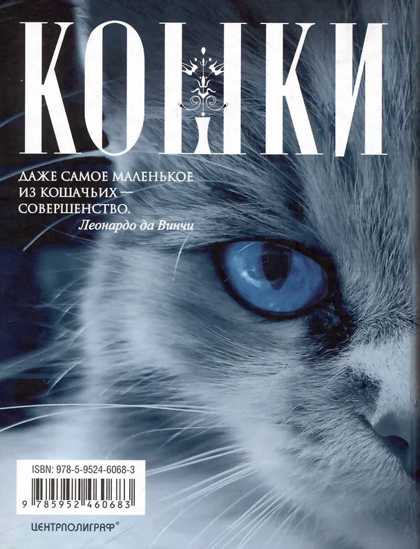 Книга Кошки. Мистические истории, легенды и поверья. Коты целители, предсказатели и маги (Ирина Пигулевская) — 2