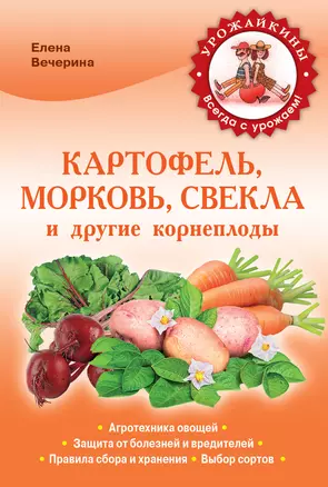 Картофель, морковь, свекла и другие корнеплоды — 2342798 — 1