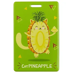 Чехол для карточек CatPineapple (ДК2018-168)