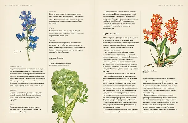 Книга Ботаника для садоводов (Джефф Ходж) — 5