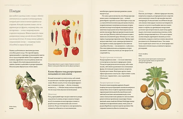Книга Ботаника для садоводов (Джефф Ходж) — 6