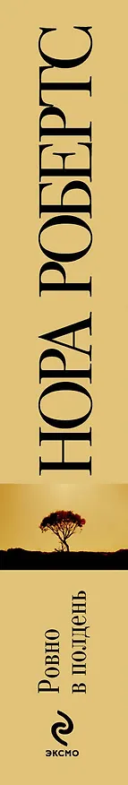 Книга Ровно в полдень (Нора Робертс) — 3