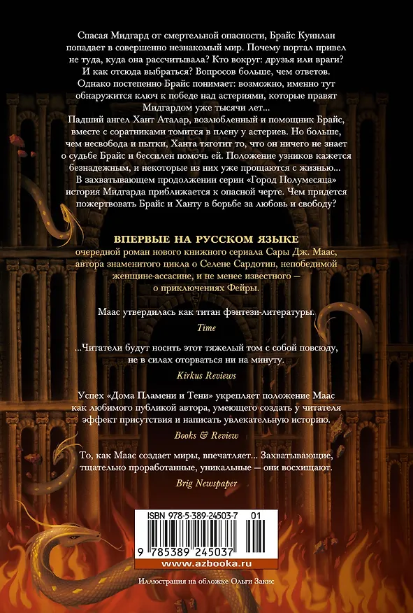 Книга Город Полумесяца. Дом Пламени и Тени (Сара Маас) — 2