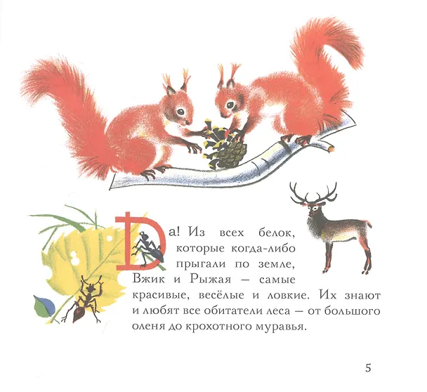 Книга Бельчонок Сорванец () — 2