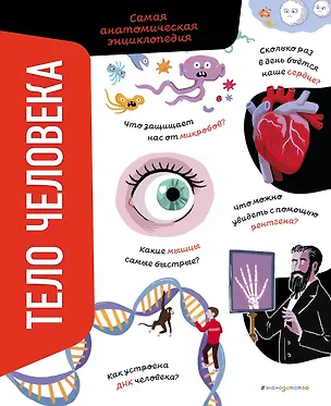 Книга Тело человека. Самая анатомическая энциклопедия (Анна Романо)