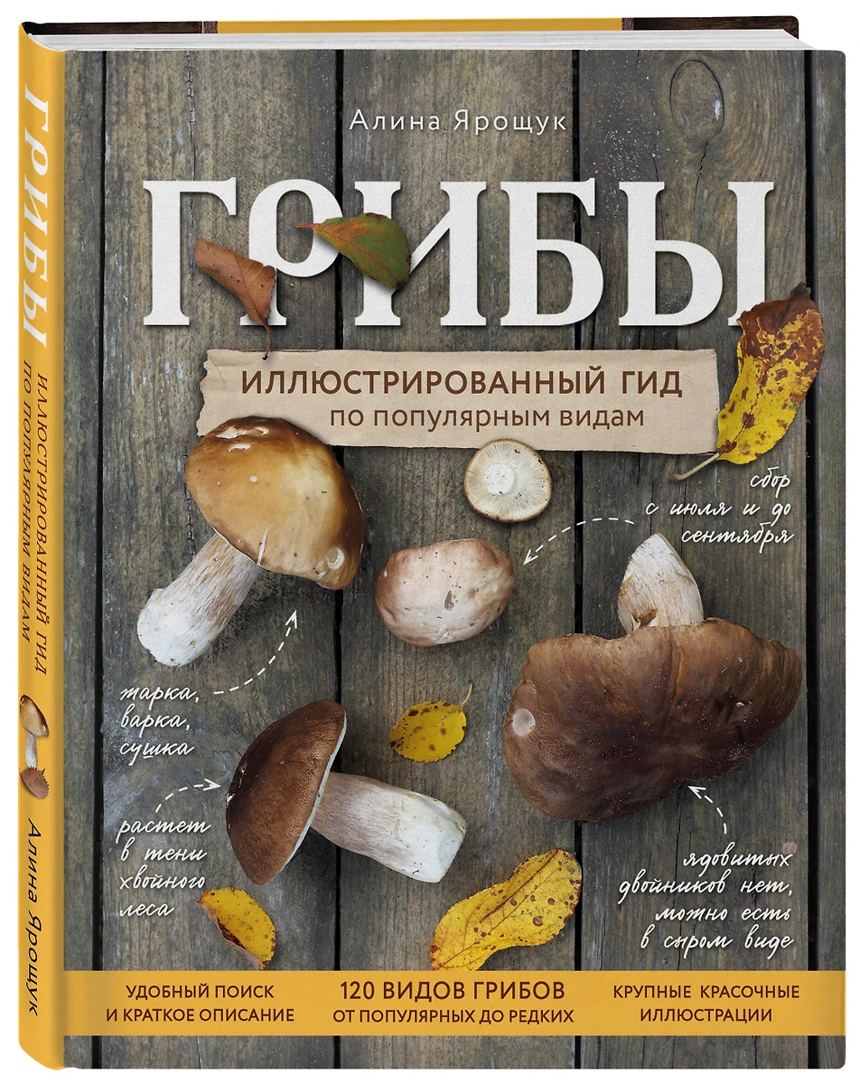 Грибы. Иллюстрированный гид по популярным видам (Алина Ярощук) - купить  книгу с доставкой в интернет-магазине «Читай-город». ISBN: 978-5-699-82229-4