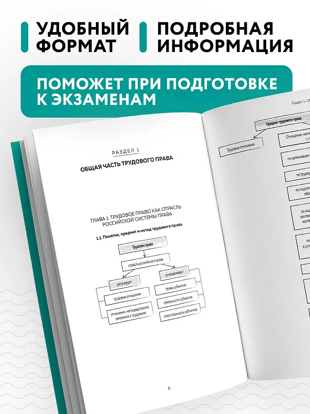 Книга Трудовое право в схемах и определениях. 2-е издание. Исправленное и дополненное (Василий Шавин) — 6