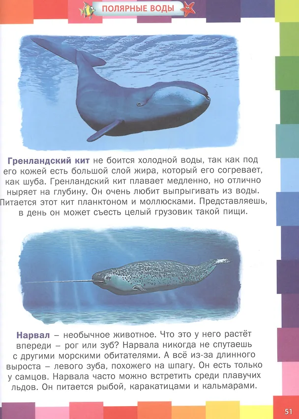 Книга Животные морей и океанов. Энциклопедия для самых маленьких (Анна Забирова) — 5