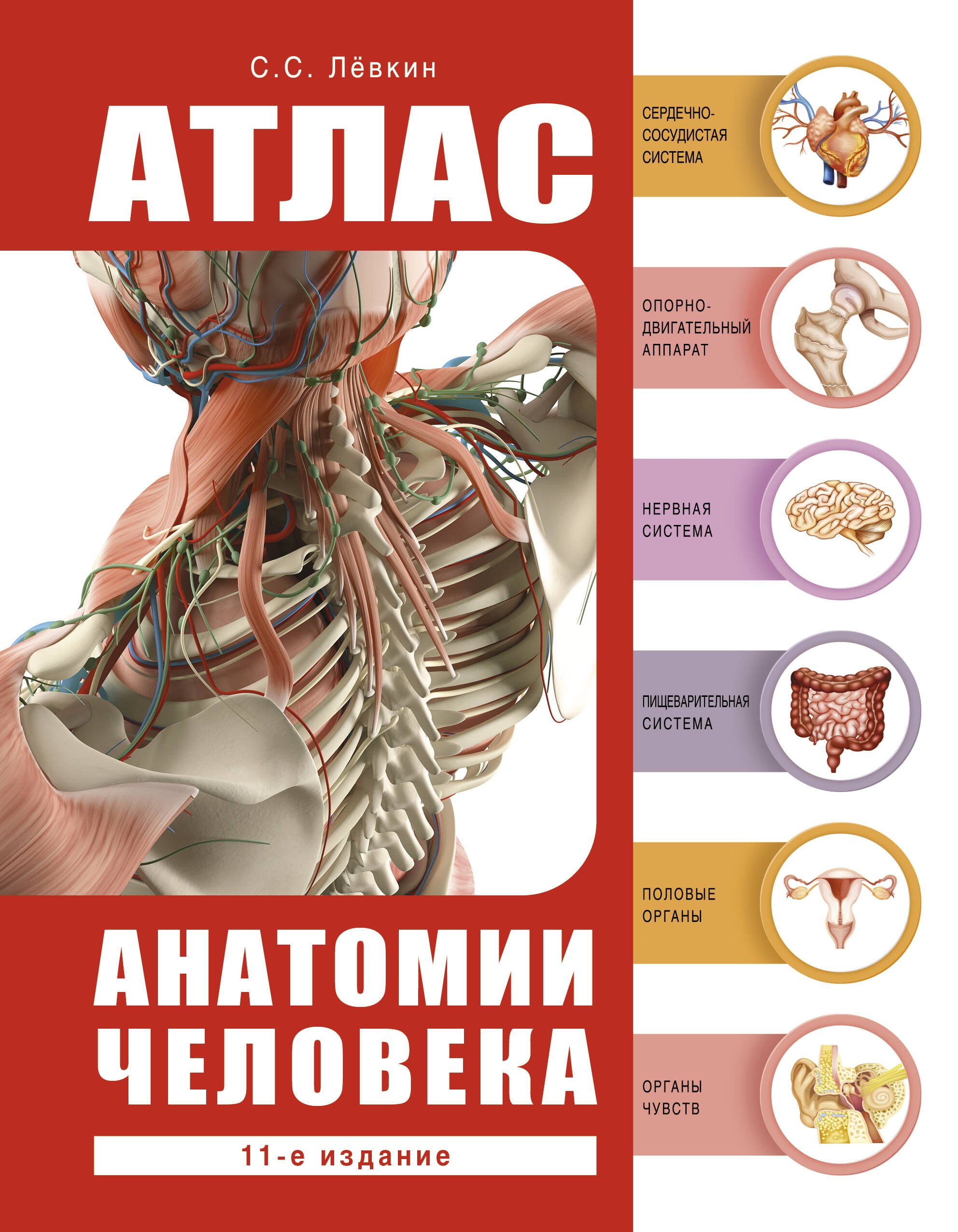 

Атлас анатомии человека