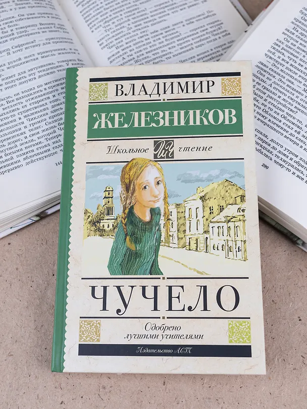 Книга Чучело (Владимир Железников) — 10