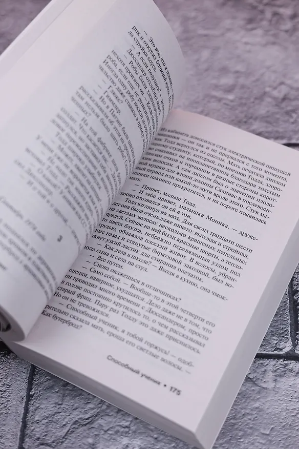 Книга Команда скелетов (Стивен Кинг) — 6