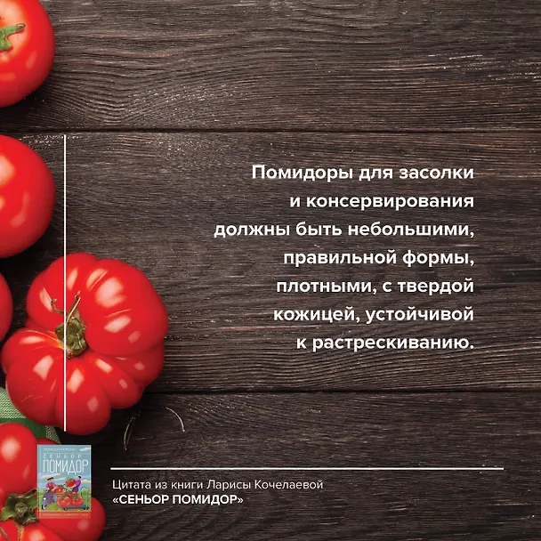 Книга Сеньор Помидор. Выращиваем, ухаживаем и едим (Лариса Кочелаева) — 8