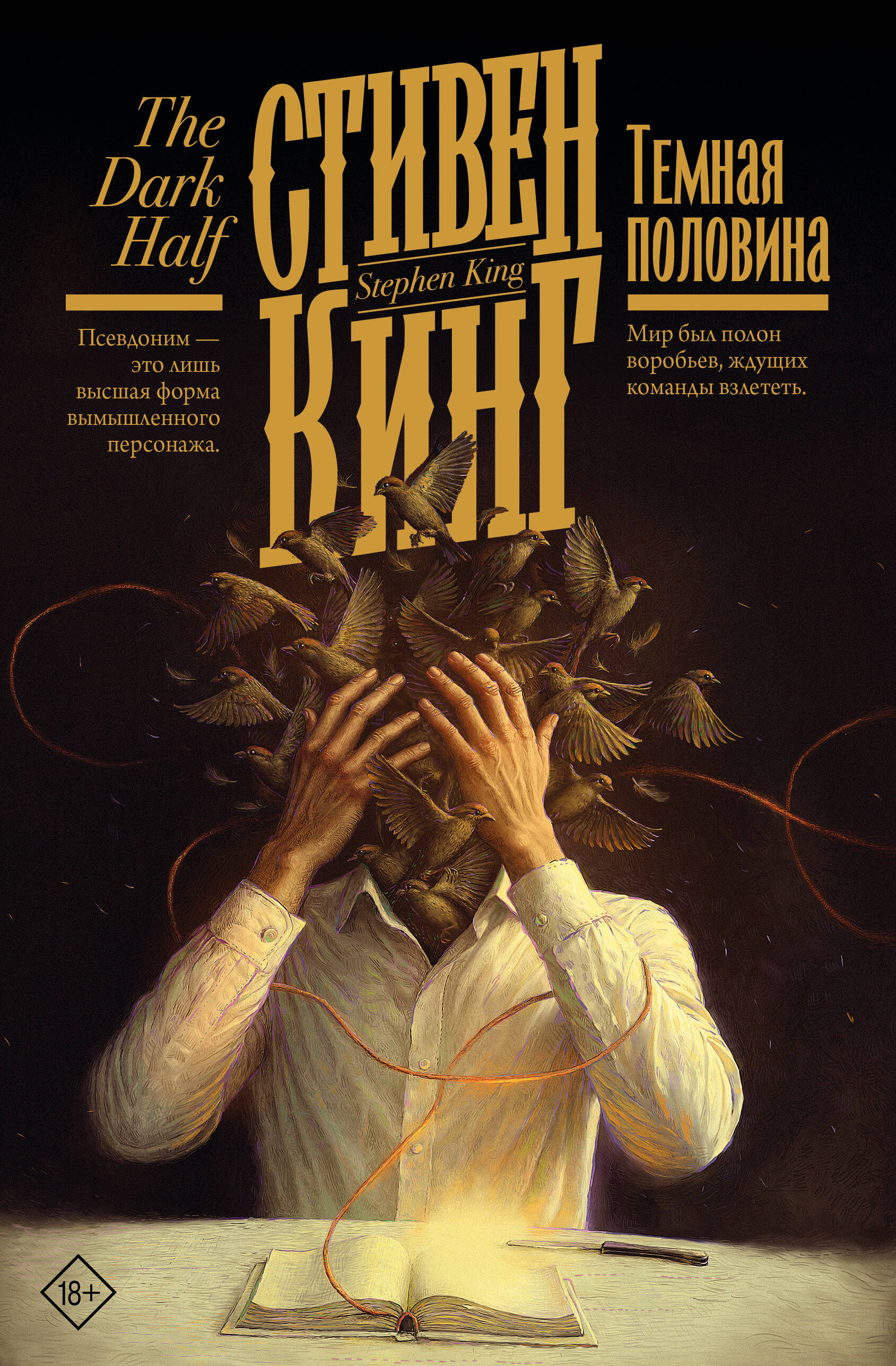 Темная половина (новый перевод)