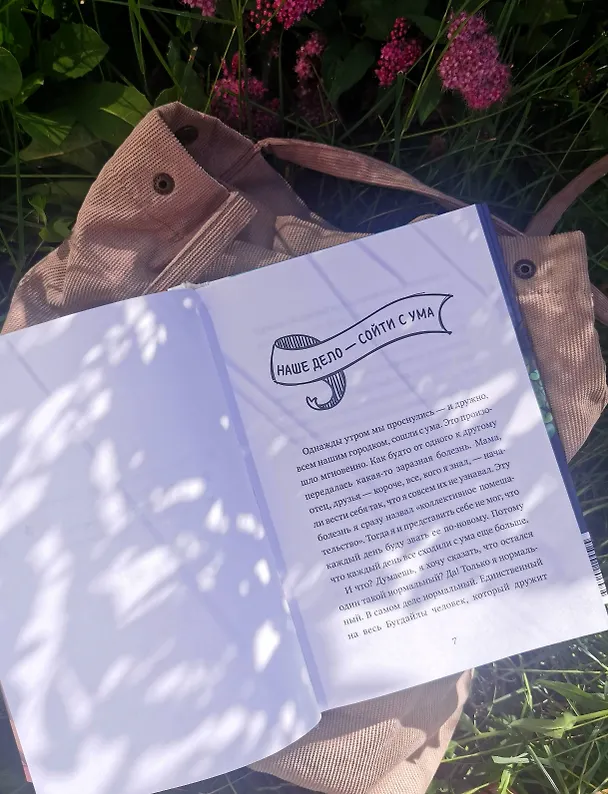 Книга Амир и безумный ингредиент (Шермин Яшар) — 9