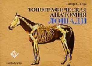 Аквар.Топографич.анатомия лоша — 2172576 — 1