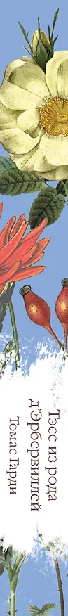 Книга Тэсс из рода д`Эрбервиллей (Томас Гарди) — 4