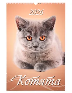 Календарь 2026г 320*480 "Котята" настенный, на спирали