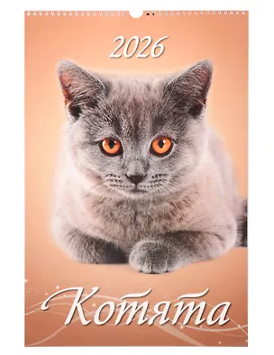 Календарь 2026г 320*480 "Котята" настенный, на спирали 3108947