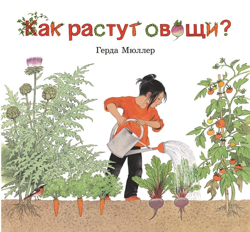 

Как растут овощи (иллюстрации Герды Мюллер)