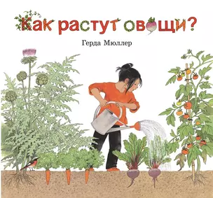 Как растут овощи? (иллюстрации Герды Мюллер) — 2373220 — 1