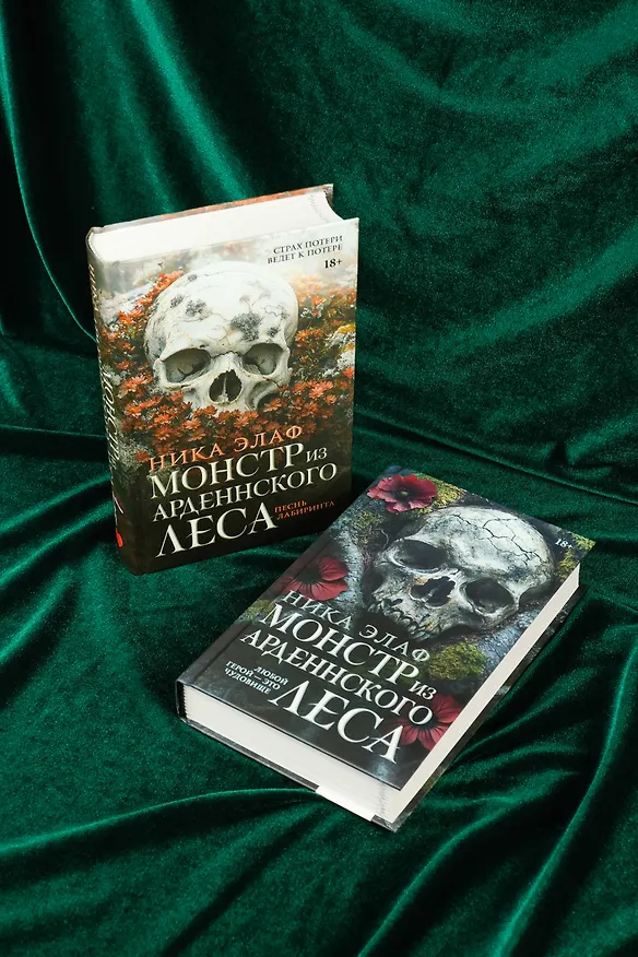 Книга Монстр из Арденнского леса. Песнь лабиринта (Ника Элаф) — 13