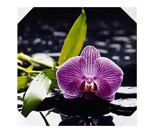 Картина Орхидея на воде (40х40) (740-108) 2430693