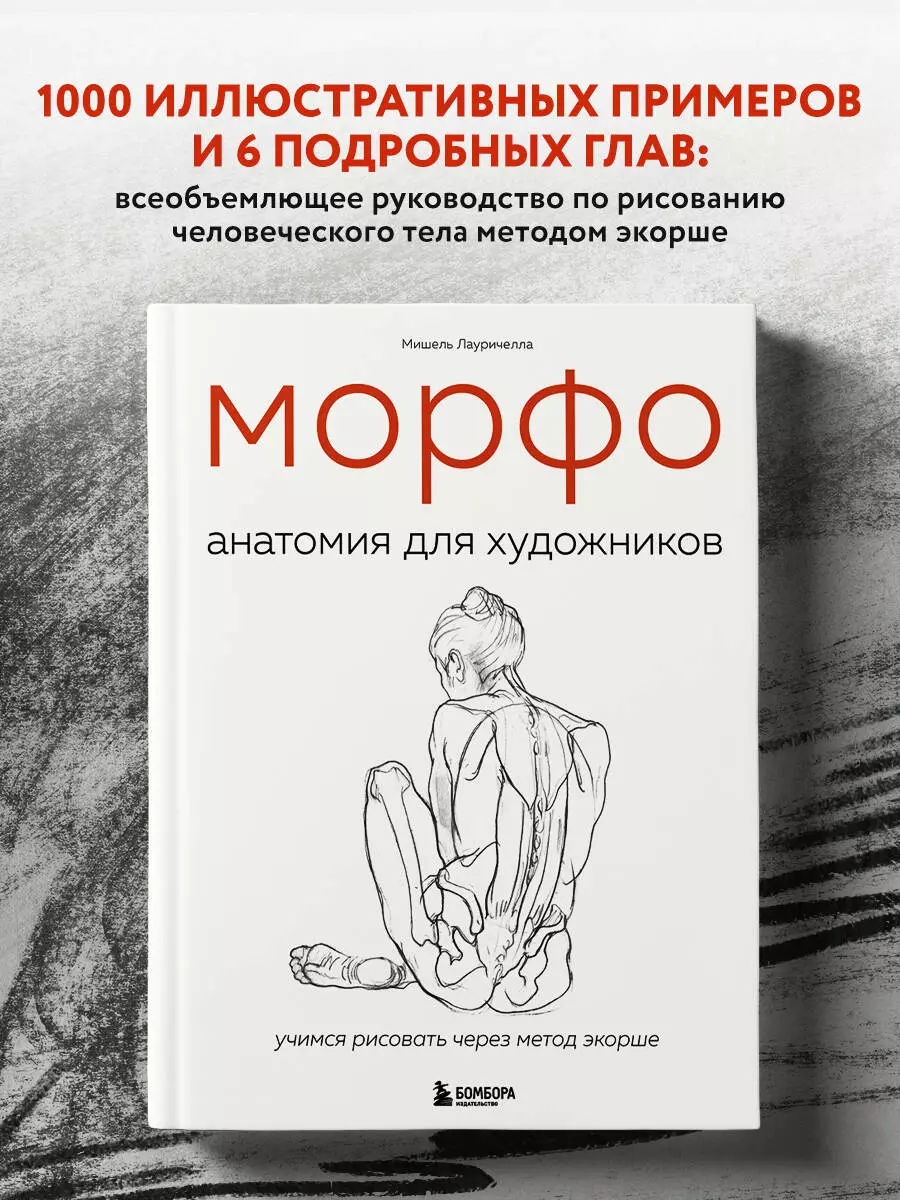 МОРФО. Анатомия для художников