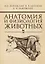 Анатомия и физиология животных. Учебник — 2891911 — 1