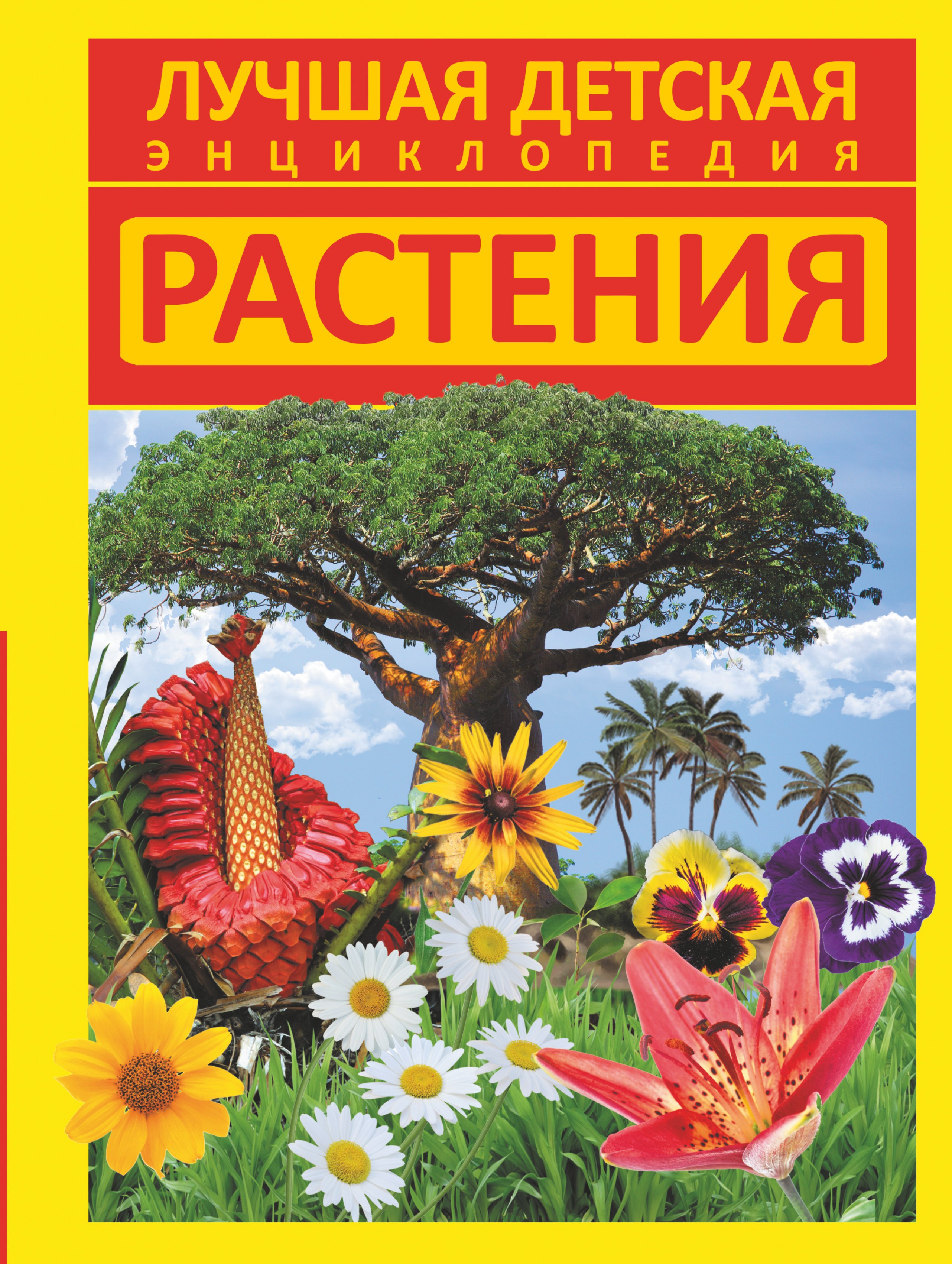 Растения