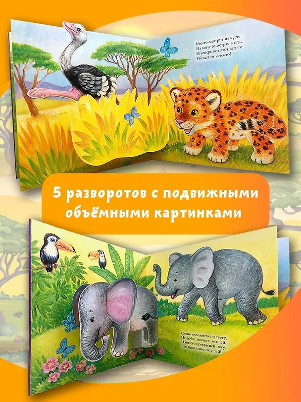 Книга Животные (Дина Бурачевская) — 6