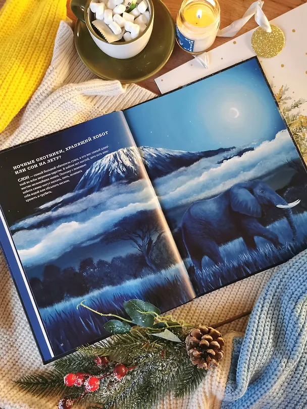 Книга Все ли спят ночью? Завораживающие иллюстрации и удивительные факты ночного мира живой природы (Беатрикс Маннель) — 9