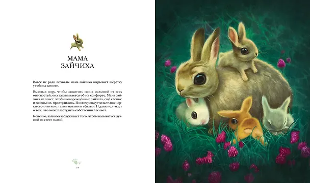 Книга Лучшая мама на свете (Себастьен Перез) — 10
