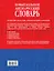 Новый большой англо-русский словарь в 2 томах(supeцена) — 2533653 — 2
