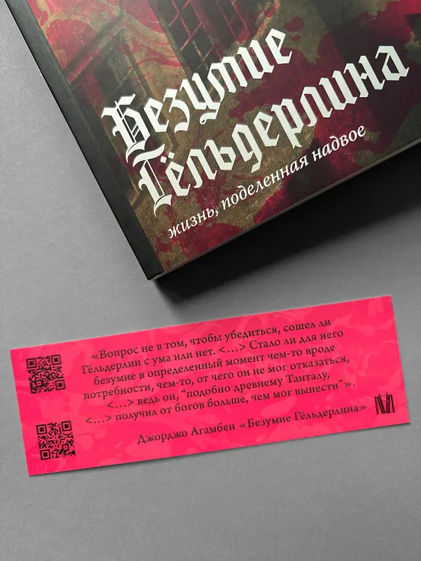 Книга Безумие Гёльдерлина. Жизнь, поделенная надвое (Джорджо Агамбен) — 8