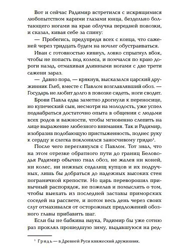 Книга Тень ворона (Анастасия Дёмина) — 12