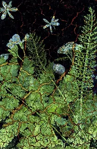 Книга для записей А5 100л кл+тчк "Тайны леса" интегр.переплет, soft-touch